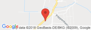 Benzinpreis Tankstelle ARAL Tankstelle in 06686 Lützen