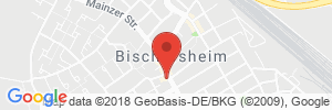 Benzinpreis Tankstelle Shell Tankstelle in 65474 Bischofsheim