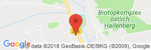 Benzinpreis Tankstelle Calpam Tankstelle in 59969 Hallenberg