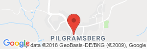 Benzinpreis Tankstelle Freie Tankstelle in 94372 Pilgramsberg