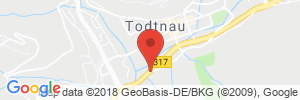 Benzinpreis Tankstelle ARAL Tankstelle in 79674 Todtnau