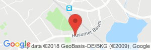 Benzinpreis Tankstelle STAR Tankstelle in 24837 Schleswig