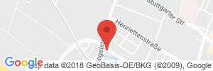 Benzinpreis Tankstelle RAN Tankstelle in 73230 Kirchheim