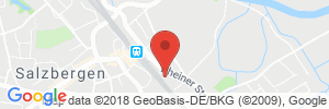 Benzinpreis Tankstelle Raiffeisen Tankstelle in 48499 Salzbergen