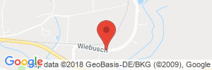 Benzinpreis Tankstelle Freie Tankstelle Tankstelle in 59581 Warstein-Belecke