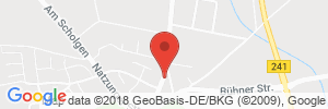 Autogas Tankstellen Details Esso Station in 34434 Borgentreich ansehen