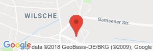 Autogas Tankstellen Details Fischer Gas Wilsche in 38518 Gifhorn / Welsche ansehen