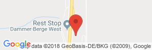 Position der Autogas-Tankstelle: Shell Station Dammer Berge Ost in 49451, Holdorf