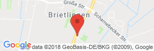 Benzinpreis Tankstelle ARAL Tankstelle in 21382 Brietlingen