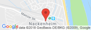 Benzinpreis Tankstelle Shell Tankstelle in 55299 Nackenheim