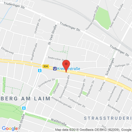 Position der Autogas-Tankstelle: Sued-treibstoff in 81825, Muenchen 