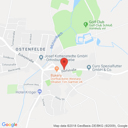 Position der Autogas-Tankstelle: Raiffeisen Ostmünsterland Eg in 59320, Ostenfelde