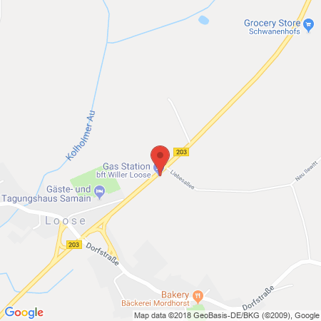 Position der Autogas-Tankstelle: Bft-willer Station 155 in 24366, Loose