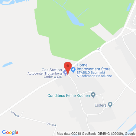 Standort der Autogas Tankstelle: Autocenter Trottenberg in 49740, Haselünne
