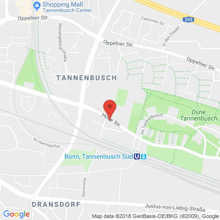 Position der Autogas-Tankstelle: Shell Tankstelle in 53119, Bonn