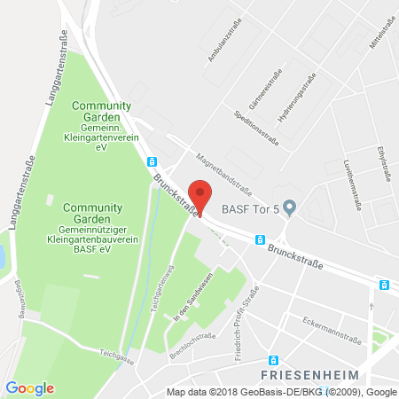 Standort der Autogas Tankstelle: Esso Station Ulrich Hoffelder in 67063, Ludwigshafen-Friesenheim