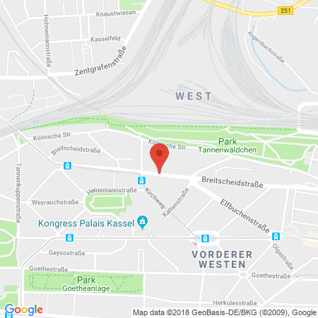 Standort der Autogas Tankstelle: Autohaus Stadthallengarage e.K. in 34119, Kassel