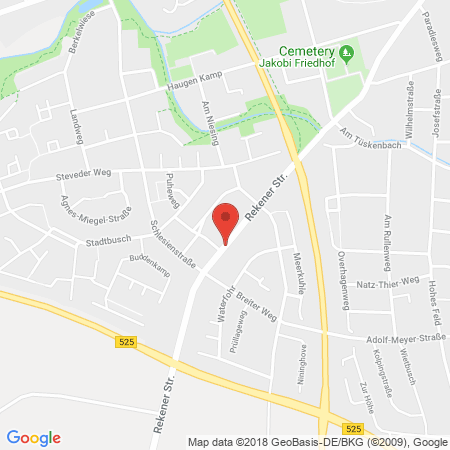 Standort der Autogas Tankstelle: Q1 Tankstelle in 48653, Coesfeld