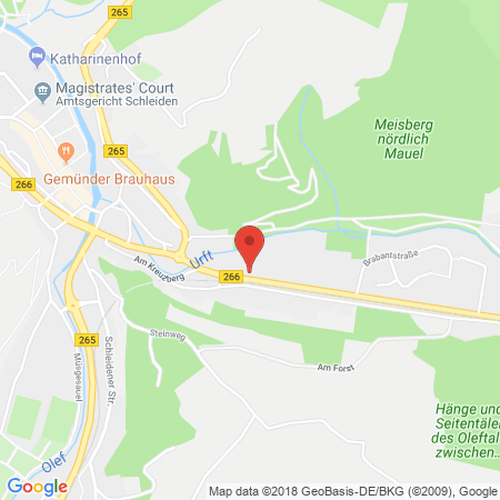 Standort der Tankstelle: ARAL Tankstelle in 53937, Schleiden