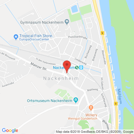 Standort der Tankstelle: Shell Tankstelle in 55299, Nackenheim