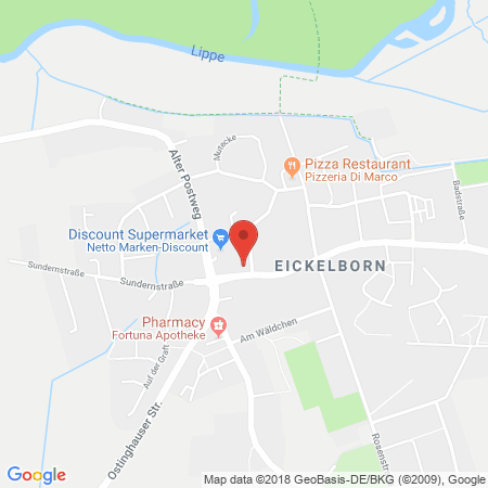 Standort der Tankstelle: Dr. Reilmann Und Goodson Gmbh, Lippstadt-eickelborn in 59556, Lippstadt
