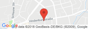 Benzinpreis Tankstelle Freie Tankstelle Teichmann Tankstelle in 49356 Diepholz