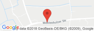 Position der Autogas-Tankstelle: KFZ Schubert in 33129, Delbrück-Westenholz
