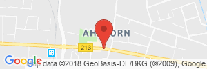 Position der Autogas-Tankstelle: Esso Station M. Dreesen GmbH in 26197, Ahlhorn