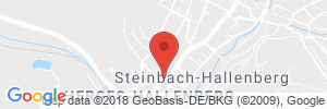 Benzinpreis Tankstelle Shell Tankstelle in 98587 Steinbach