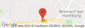 Benzinpreis Tankstelle HEM Tankstelle in 21465 Wentorf