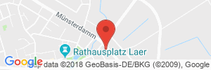 Benzinpreis Tankstelle Westfalen Tankstelle in 48366 Laer