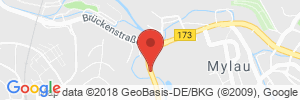 Position der Autogas-Tankstelle: Calpam Tankstelle in 08491, Netzschkau