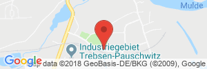 Autogas Tankstellen Details bft Station (FTB) in 04687 Trebsen ansehen