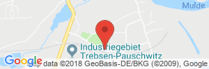 Position der Autogas-Tankstelle: bft Station (FTB) in 04687, Trebsen