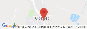 Position der Autogas-Tankstelle: team mineralöle GmbH & Co.KG in 25557, Gokels