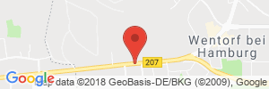 Position der Autogas-Tankstelle: Oil! Tankstelle in 21465, Wentorf