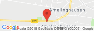 Position der Autogas-Tankstelle: SHELL-Tankstelle in 21385, Amelinghausen