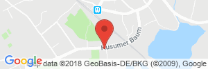 Position der Autogas-Tankstelle: Star Tankstelle in 24837, Schleswig