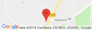 Benzinpreis Tankstelle Raiffeisen Tankstelle in 27283 Verden-Walle