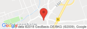 Benzinpreis Tankstelle Shell Tankstelle in 67365 Schwegenheim