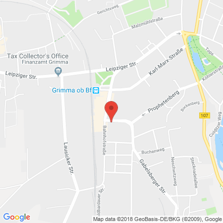 Standort der Tankstelle: Markenfreie TS Tankstelle in 04668, Grimma