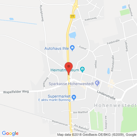 Standort der Tankstelle: ARAL Tankstelle in 24594, Hohenwestedt