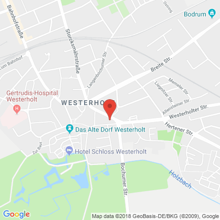 Standort der Tankstelle: Markant Tankstelle in 45701, Herten