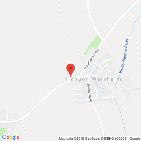 Standort der Tankstelle: BFT Tankstelle in 67598, Gundersheim