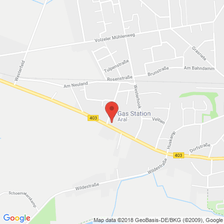 Position der Autogas-Tankstelle: Aral Tankstelle in 49824, Emlichheim