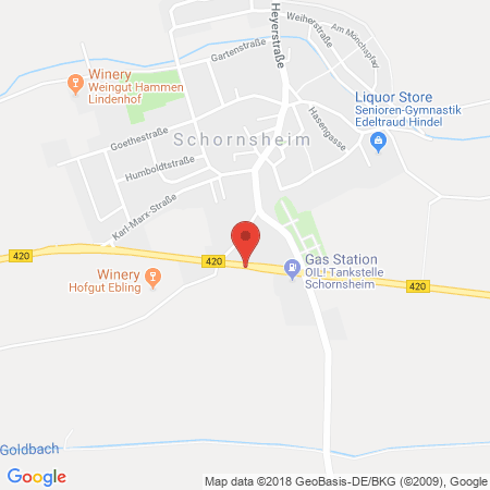 Position der Autogas-Tankstelle: Shell Tankstelle Rainer Weifenbach in 55288, Schornsheim