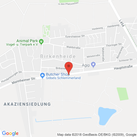 Position der Autogas-Tankstelle: Agip Tankstelle in 67134, Birkenheide