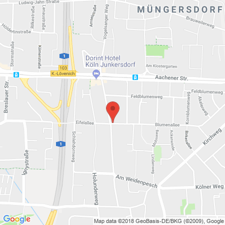 Position der Autogas-Tankstelle: Aral Tankstelle in 50858, Köln
