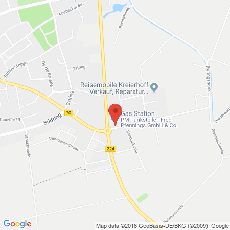 Position der Autogas-Tankstelle: PM-Tankstelle in 46348, Raesfeld