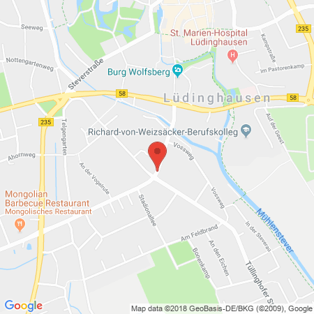 Position der Autogas-Tankstelle: Aral Tankstelle in 59348, Lüdinghausen